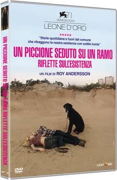 La cover del DVD di Un piccione seduto su un ramo riflette sull’esistenza