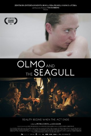 Locandina di Olmo & the Seagull