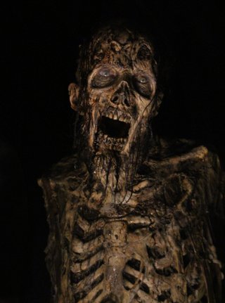 The Walking Dead: un walker scheletrico