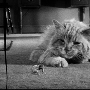 Una scena di Radiazioni BX: Distruzione Uomo