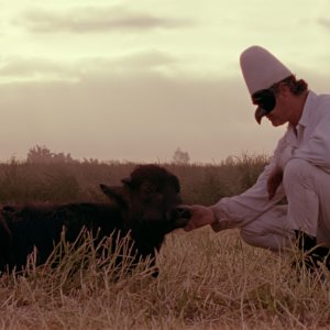 Bella e perduta: Pulcinella/Sergio Vitolo insieme al bufalo