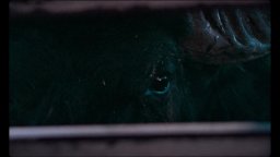 Clip - Bella e perduta