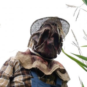 The Musk - foto esclusiva del dell'horror di George Nevada