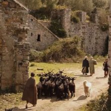 Pastorale cilentana: Mattia Oricchio conduce le capre al pascolo