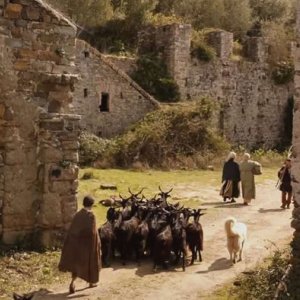 Pastorale cilentana: Mattia Oricchio conduce le capre al pascolo