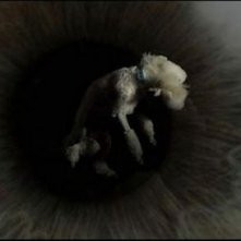 The Visit - Un incontro ravvicinato: un fotogramma del mockumentary