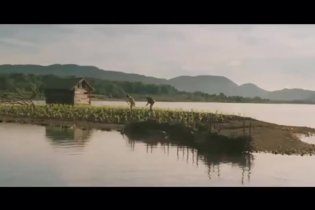 Trailer - Corn Island