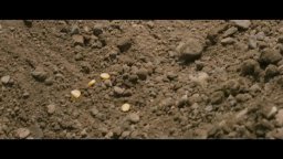 Trailer italiano - Corn Island