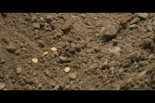 Trailer italiano - Corn Island