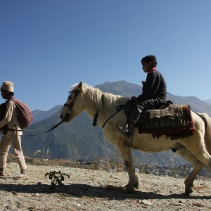 The Black Hen: un'immagine del film di Min Bahadur Bham