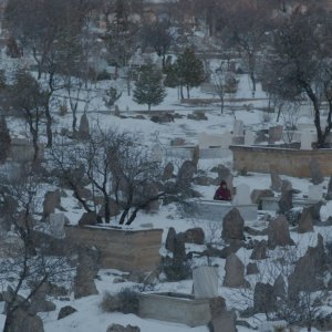 Motherland: un'immagine tratta dal film