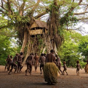 Una bella immagine di Tanna