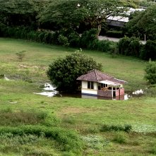 The Return: un'immagine tratta dal film