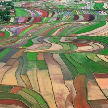 Human: un bel fotogramma del film documentario