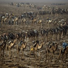 Human: un'immagine del documentario francese