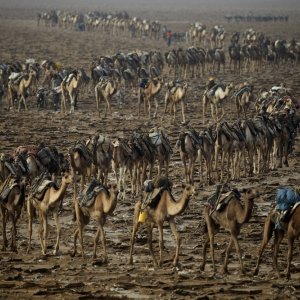 Human: un'immagine del documentario francese