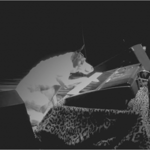 Heart of a Dog: un'immagine del film sperimentale di Laurie Anderson