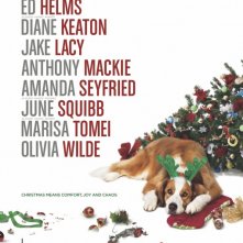 Locandina di Love the Coopers