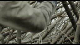 Trailer italiano - Un mondo fragile