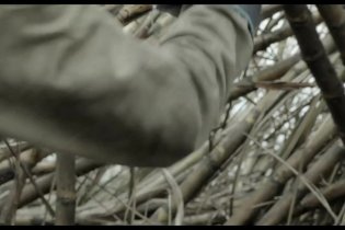 Trailer italiano - Un mondo fragile