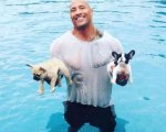 Dwayne Johnson, star action e soccorritore di cuccioli
