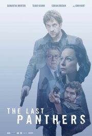 The Last Panthers: la locandina della serie
