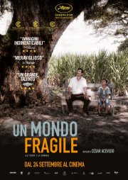 Locandina di Un mondo fragile