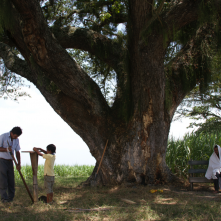 Un mondo fragile: una scena del film
