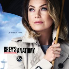 Grey's Anatomy: la locandina per la dodicesima stagione