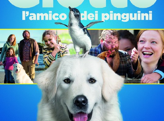 Giotto, l'amico dei pinguini (Film 2015): trama, cast e dove vederlo