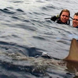 Daniel Travis e Blanchard Ryan in una scena del film Open Water