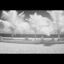 Arcade Fire: The Reflektor Tapes, un momento del documentario diretto da Kahlil Joseph