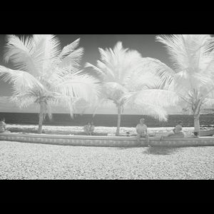 Arcade Fire: The Reflektor Tapes, un momento del documentario diretto da Kahlil Joseph