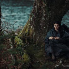 The Lobster: Rachel Weisz in una scena del film