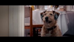 Clip 'Il cane parlante' - Un'occasione da Dio