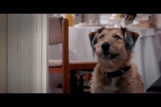 Clip 'Il cane parlante' - Un'occasione da Dio