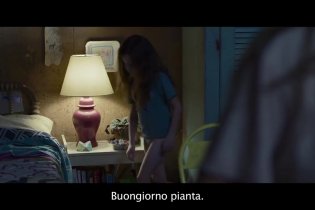 Trailer internazionale sottotitolato in italiano - Room