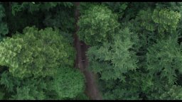 Trailer - The Forest