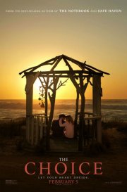 Locandina di The Choice