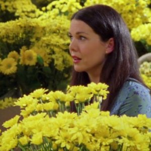 Una mamma per amica: Lauren Graham circondata da margherite gialle in Di nuovo insieme