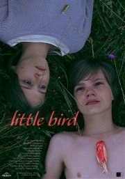 Locandina di Little Bird