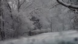 Trailer - Heart of a Dog