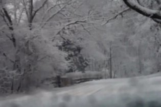 Trailer - Heart of a Dog