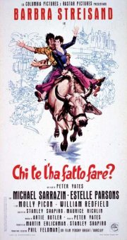 Locandina di Ma chi te l'ha fatto fare?