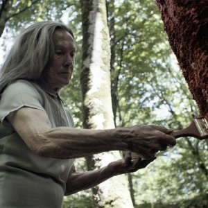 Amama - When a Tree Falls: un'immagine tratta dal film