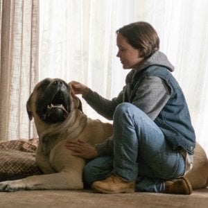 Freeheld - Amore, giustizia, uguaglianza: Ellen Page in una scena del film