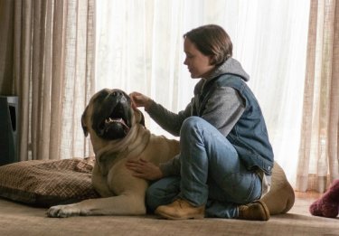 Freeheld - Amore, giustizia, uguaglianza: Ellen Page in una scena del film