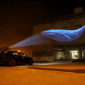 Racing Extinction: una suggestiva immagine del documentario