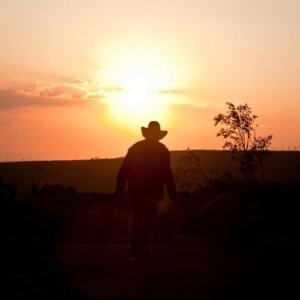 The Thin Yellow Line: una bella immagine del film diretto da Celso R. García