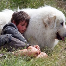 Belle & Sebastien - L'avventura continua: Félix Bossuet addormentato sul fianco del suo amato e vigile cane